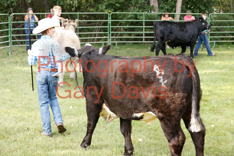 _MG_0053 (2)